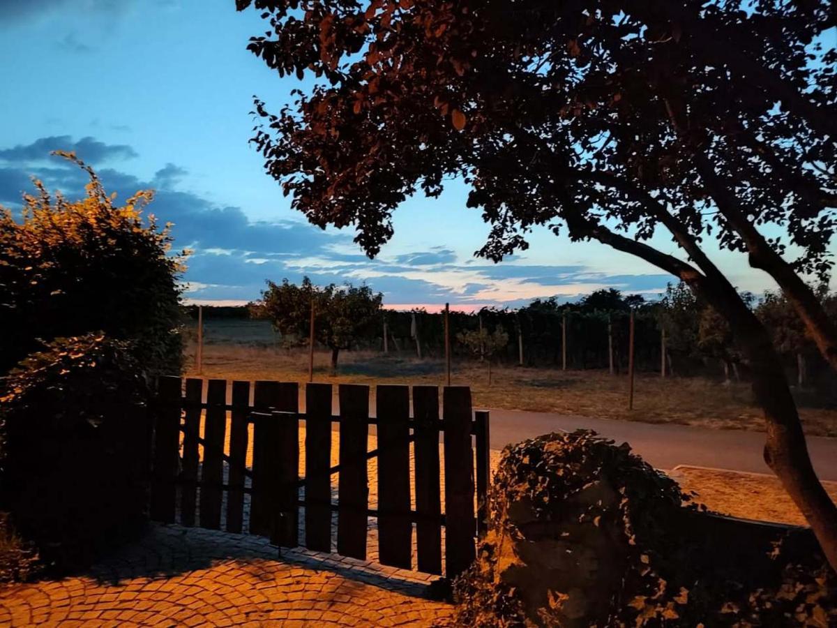 Ubytovani V Soukromi Na Sadove 906 - Valtice Exterior foto